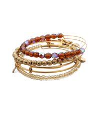 ALEX AND ANI | Brown Take On Me Expandable Wire Bracelet Set | Lyst