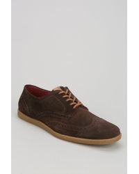 fred perry brown shoes
