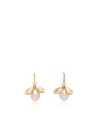 Annette Ferdinandsen | Metallic Jeweled Bug Pearl Earrings | Lyst