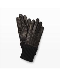 Club Monaco | Black Lorena Glove | Lyst