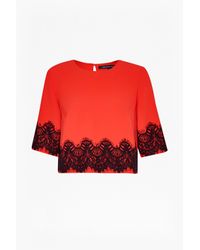 French Connection | Black Linea Lace Crop Top | Lyst