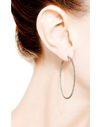Dana Rebecca | Hoop Earrings in Black Diamond | Lyst