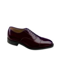 johnston and murphy melton cap toe oxford