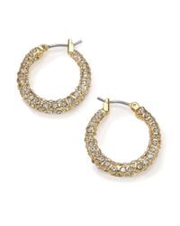 ABS By Allen Schwartz | Metallic Gold Coast Pavé Hoop Earrings/0.7 | Lyst