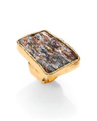 Nest | Metallic Astrophyllite Ring | Lyst