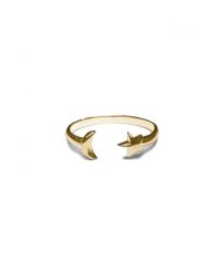 Pamela Love | Metallic Moon Age Ring In Yellow Gold | Lyst