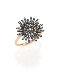 Astley Clarke | Black Rising Sun Firework Blue Diamond & 14k Yellow Gold Ring | Lyst