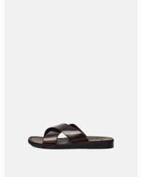 Jerusalem Sandals Brown Elan for men