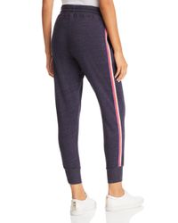 Sundry Blue Rainbow - Striped Tapered Sweatpants