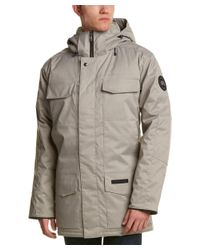 canada goose branta canada goose branta