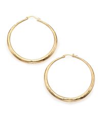 ABS By Allen Schwartz | Metallic Seaglass Brights Hammered Hoop Earrings | Lyst