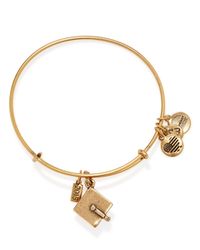 ALEX AND ANI | Gold 2015 Graduation Cap Expandable Wire Bracelet | Lyst
