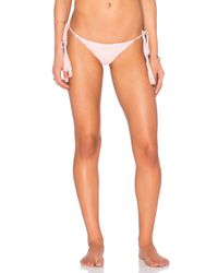 Acacia Swimwear Multicolor Polihale