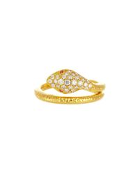 Alexis Danielle Jewelry - Metallic Yellow Gold Diamond Ruby Snake Ring - Lyst