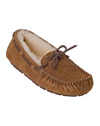 Ugg | Brown Dakota Slipper Chestnut Suede | Lyst