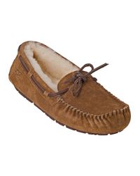 Ugg | Brown Dakota Slipper Chestnut Suede | Lyst