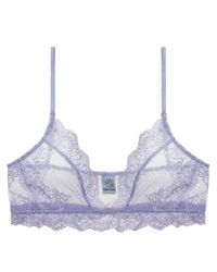 Only Hearts | Purple So Fine With Lace Bralette | Lyst