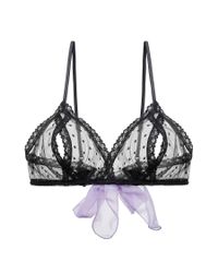 Only Hearts | Multicolor Coucou Bralette | Lyst