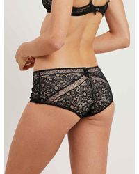 Morgan Lane - Multicolor Devon Panty In Noir - Lyst
