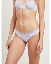 Morgan Lane - Purple Lauren Panty In Lilac Petunia - Lyst