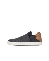 Adidas Originals - Multicolor Pharrell Williams Slip-on In Core Black/granite for Men - Lyst