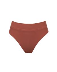 Static Swimwear - Brown Franklin Bottom - Lyst