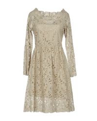 Pf Paola Frani Gray Knee-length Dress