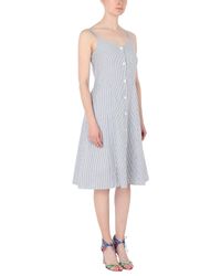 Vestito al ginocchio di Calvin Klein in Gray