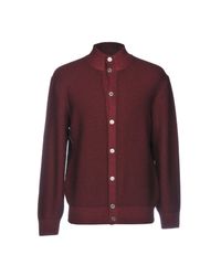 Andrea Fenzi Purple Cardigan for men