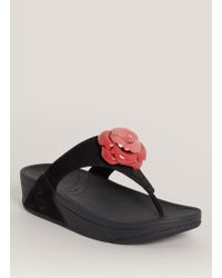 fitflop florent zanotti