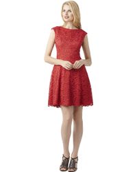 Adrianna Papell Short Lace Fit and Flare Dress in Red | Lyst