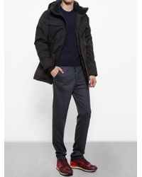 canada goose branta canada goose branta