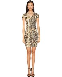 Scuba Dresses Cavalli