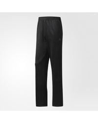 striped chino pants mens