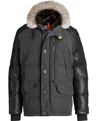 parajumpers dhole parajumpers dhole