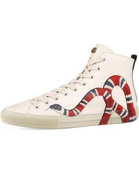 converse gucci shoes