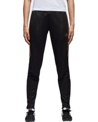 black and gold tiro pants