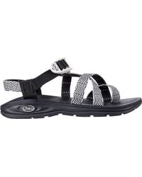 chaco