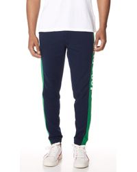 ralph lauren training pants