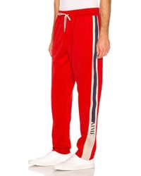 aime leon dore track pants