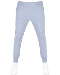 light blue lacoste tracksuit