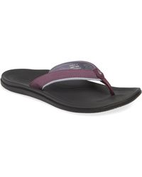 nohie flip flop