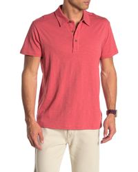 tahari polo shirts