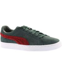 puma Suede Varsity Marrone puma Suede Varsity Marrone