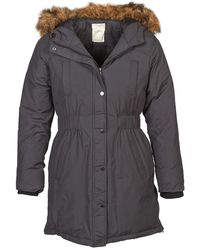 moncler blue frost fox moncler blue frost fox
