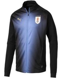 parajumpers 2019 AZZURRO parajumpers 2019 AZZURRO