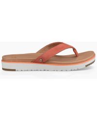 ugg women's lorrie flip flop ugg women's lorrie flip flop