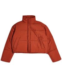 TOPSHOP Plumas sintético - Rojo