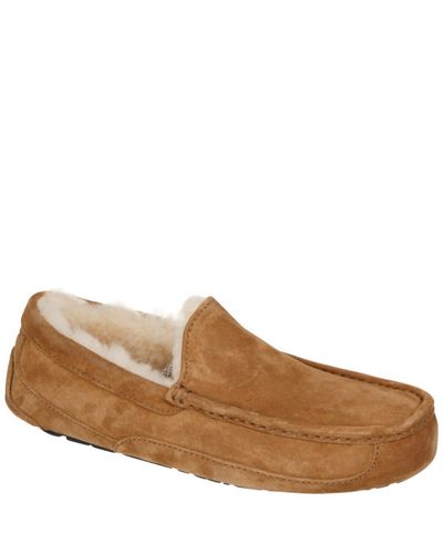 ugg slippers men brown