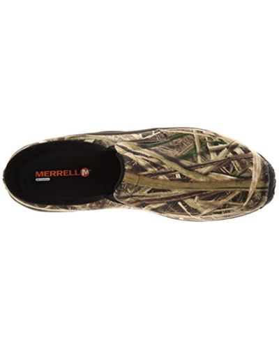 men's jungle slide